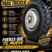 Gomas con llantas para triciclos - Img 57002959
