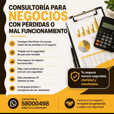 Creación de Mipymes, Currículum, Fichas de Costos, Asesoría y Consultoría para negocios privados. - Img 119846825