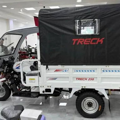 TRICICLO LIFAN 250cc (EDICIÓN 2026) - 2/5