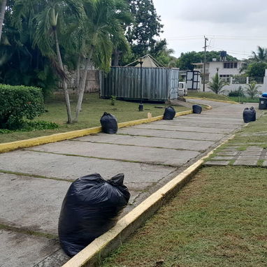 Servicios de Jardinería y Limpieza de exteriores (trabajamos en la mayoría de los municipios) - Img 122417617