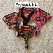 PECHERAS PARA PERROS ARREOS - Img 53056143