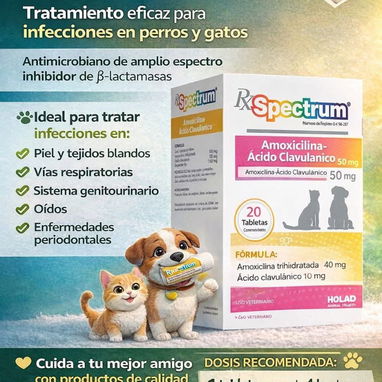 Amoxicilina 50mg para perros y gatos - Img 120615391