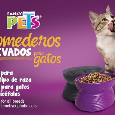 🐶🐱 Comederos para Mascotas/ Accesorios para alimentación de animales/ Comida para perros y gatos - Img 125911968