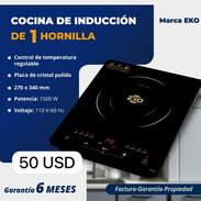 Cocinas de inducción. - Img 51387115