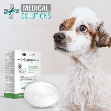 Jabones antipulgas para perros - Img 114644904