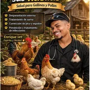 Veterinario especializado en aves de corral A Domicilio ‼️ - Img 55305111