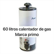 Calentadores de gas - Img 45611998