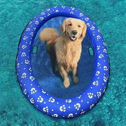 Flotador, piscina para perros - Img 51854455