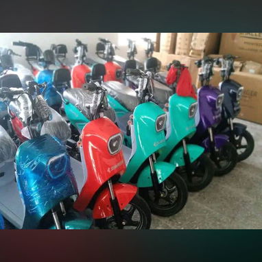 Venta de bicicletas electricas - 8/8
