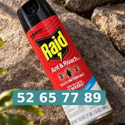 Raid hormigas - Img 57661329