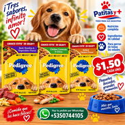 Salsa para Comida de Perro - Img 57518890