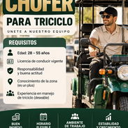 Chofer - Img 57717506
