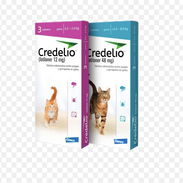 Credelio para gatos - Img 56006492