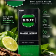 COLONIA BRUT CLASSIC INTENSE - Img 57684613