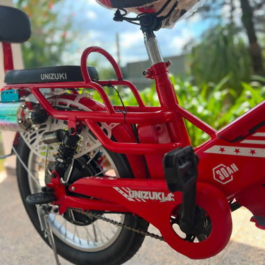 BICICLETA ELÉCTRICA IZUKI - Img 124560088