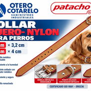 COLLAR DE CUERO Y NAYLON ALTA RESISTENCIA VARIAS MEDIDAS - Img 58185599