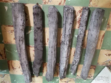 Vendo troncos de madera preciosa de Ácana y Ébano Carbonero-52687700 - Img 67232188