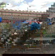 SUPER OFERTA DE PASADIA $950 c/u, para mas de 15 personas - Img 48463448