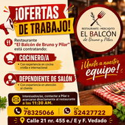 Buscamos Cocinero Profesional, Ayudante de Cocina y Dependiente Gastronómico de Salón con experiencia - Img 55168450