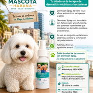 Dermisan Spray para dermatitis en perros y gatos - Img 56027614