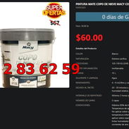 Pintura Blanca Macy 15L Copo de Nieve Mate Nieve Profesional VPT-0203 - Img 54486467
