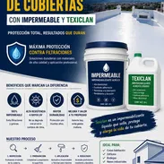Servicios profesionales de impermeabilización de techos y cubiertas para hogares y negocios - Img 55634428