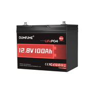Batería LiFePO4 DUMFUME de 12 V 100 Ah con BMS de 100 A, formato mini 12.8V 100AH - Img 56787776