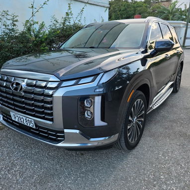 Vendo o negocio, Hyundai Palisade, 2024 calle Graphic, con 20 mil millas - Img 116694750