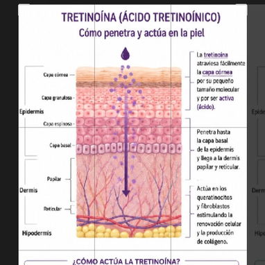 Tretinoina - Img 123174014