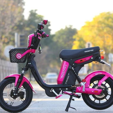 Bicimoto yoasaki    pcfg - 2/3