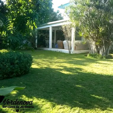 Servicios de Jardinería y Limpieza de exteriores (trabajamos en la mayoría de los municipios) - Img 122417662