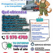 CONTROL DE PLAGAS _SU ENTORNO PROTEGIDO TODO EL AÑO - Img 56964951