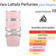 Perfume Yara 100ml sellado en caja y naylon 15 usd - Img 53060604