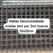 Mallas Criollas - Img 57291699