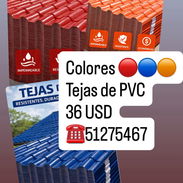 Tejas Españolas - Img 55372023