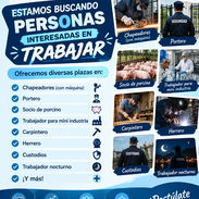 ✨ ¡TRABAJO ESTABLE DE OFICINA Y EXCELENTES INGRESOS! S| GESTIÓN Z - Img 57350971