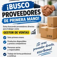 BUSCO PROVEEDORES DE PRIMERA MANO PARA TRABAJAR COMO GESTORA - Img 57754046