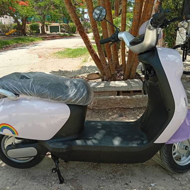 Moto eléctrica - 2/3