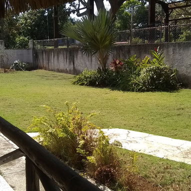 servicios de Jardinería y diseño - Img 119408628