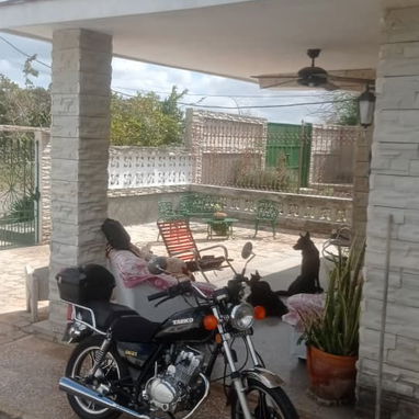 Venta de propiedad en celimar - 2/10