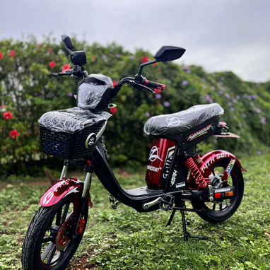BICIMOTO MISHOZUKI GRILLO PRO MAX 14 GENERACIÓN⬇️ - Img 123072857