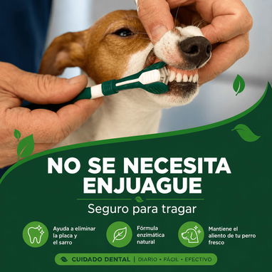 KIT DENTAL PARA PERROS CON CEPILLO TRIPLE - Img 126063134