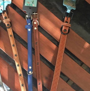 COLLARES  PARA MASCOTAS PERRITOS Y GATICOS. 53 50352184.vedado - Img 56760506