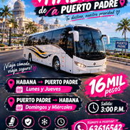 Guagua arrendada - Img 57703347