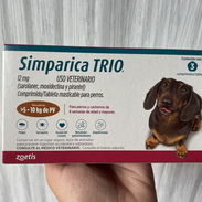 Simpárica trío - Img 50644536
