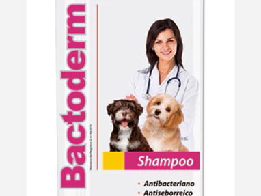 Jabones y shampoo Medicados para perros y gatos. Miconazol/Clotrimazol/Clorhexidina/Ketoconazol - Img 62163946