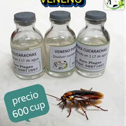 Veneno para cucarachas - Img 58143919