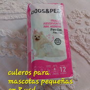 Culeros o pañales para mascotas pequeñas - Img 58167963