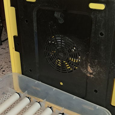 Encubadora eléctrica para huevos - 5/5