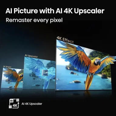 Hisense 43” QLED 4K UHD (QD6 2026 ) Smart TV - 7/10